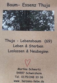 Essenz Thuja 1